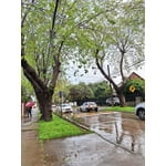 Imagen 6 de las fotos del cliente