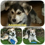 Image 5 of customer photos