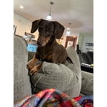 Image 3 of customer photos