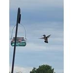 Image 3 of customer photos