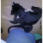 Image 2 of customer photos