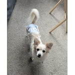 Image 7 of customer photos