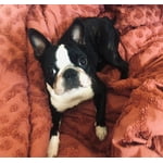 Image 5 of customer photos