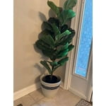 Image 2 of customer photos