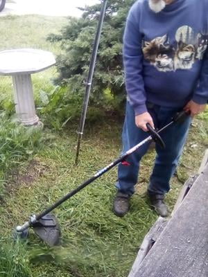 4 stroke weed eater walmart