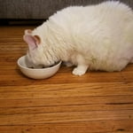 Image 7 of customer photos