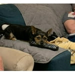 Image 4 of customer photos