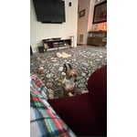 Image 6 of customer photos