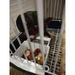 Image 5 of customer photos