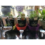 Image 7 of customer photos