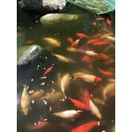 Image 5 of customer photos