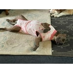 Image 5 of customer photos