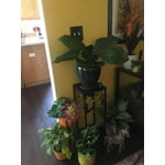Image 2 of customer photos
