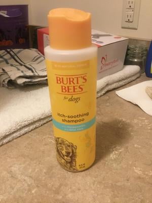 burt's bees itch soothing shampoo reviews