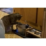 Image 4 of customer photos