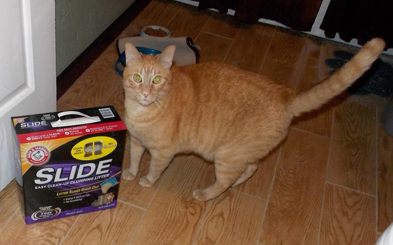 arm and hammer slide cat litter walmart