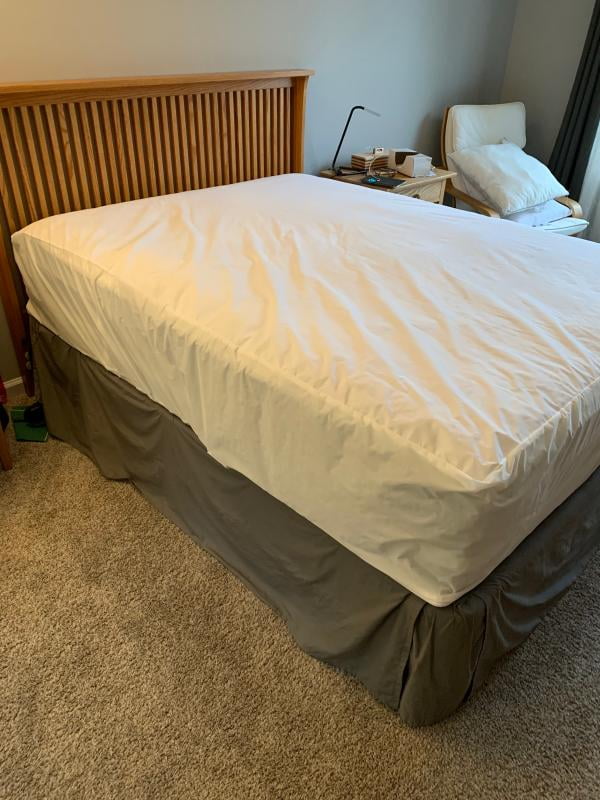 Allerease Maximum Allergy Bed Bug Protection Zippered