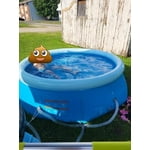 Image 7 of customer photos