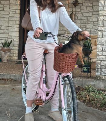 Gaonala 26 inch Purple 7 Speed Women Cruiser Bike with Basket Step
