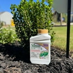 Image 7 of customer photos