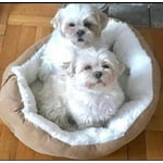 Image 4 of customer photos