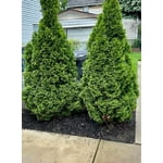 Image 5 of customer photos