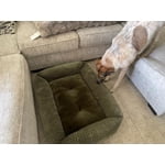 Image 4 of customer photos