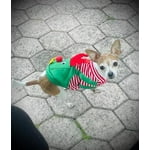 Image 2 of customer photos