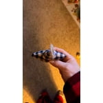 Image 5 of customer photos