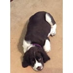 Image 5 of customer photos