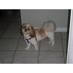 Image 4 of customer photos