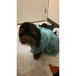 Image 5 of customer photos