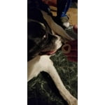 Image 3 of customer photos