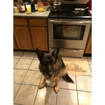 Image 2 of customer photos