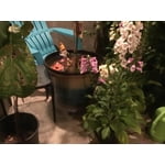 Image 2 of customer photos