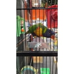 Image 3 of customer photos