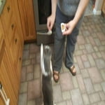 Image 4 of customer photos