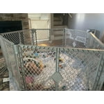 Image 2 of customer photos