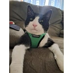 Image 3 of customer photos