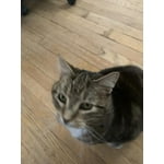 Image 4 of customer photos