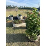 Image 4 of customer photos