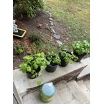 Image 7 of customer photos