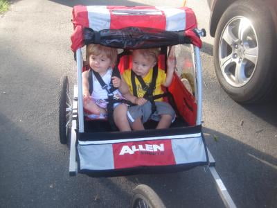 allen ast2 bike trailer
