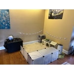 Image 4 of customer photos
