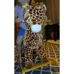 Image 6 of customer photos