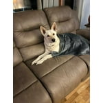 Image 2 of customer photos