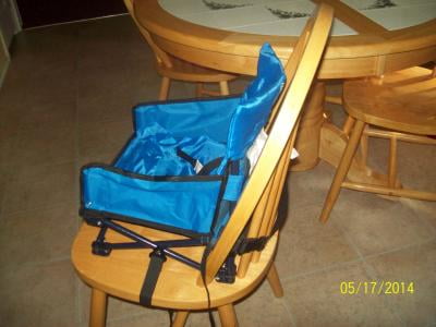 regalo my chair portable booster