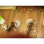 Image 5 of customer photos