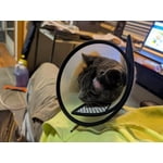 Image 4 of customer photos