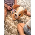 Image 4 of customer photos